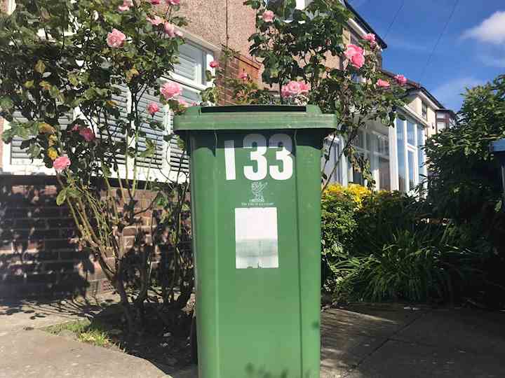 green bin