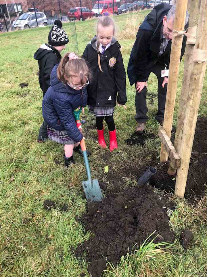 Primary school pupils planting a tree