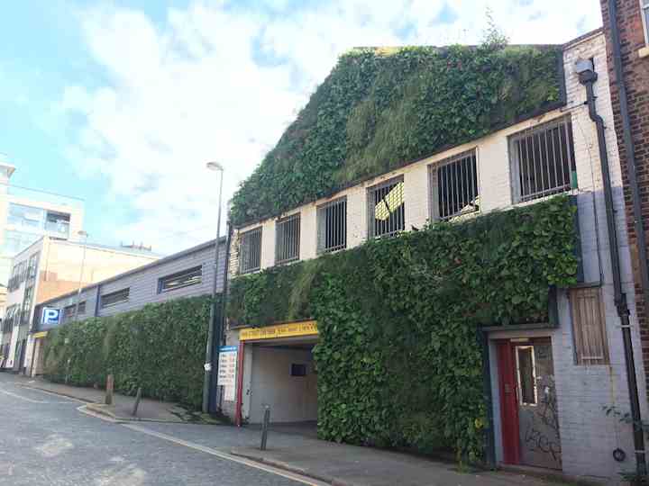 One of Liverpool's urban living green walls